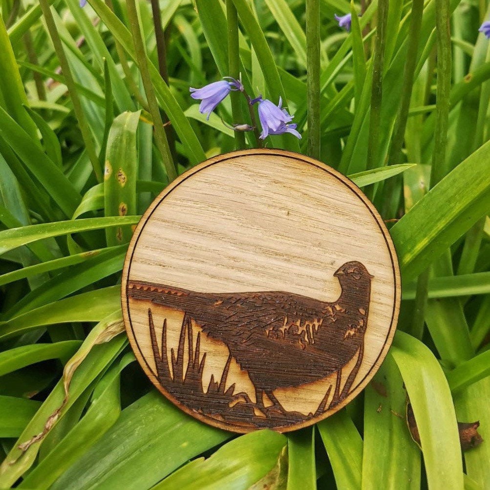 Country Wildlife Rustic Coaster Gift Set 4 piece - Stag, Hare, Fox & Pheasant