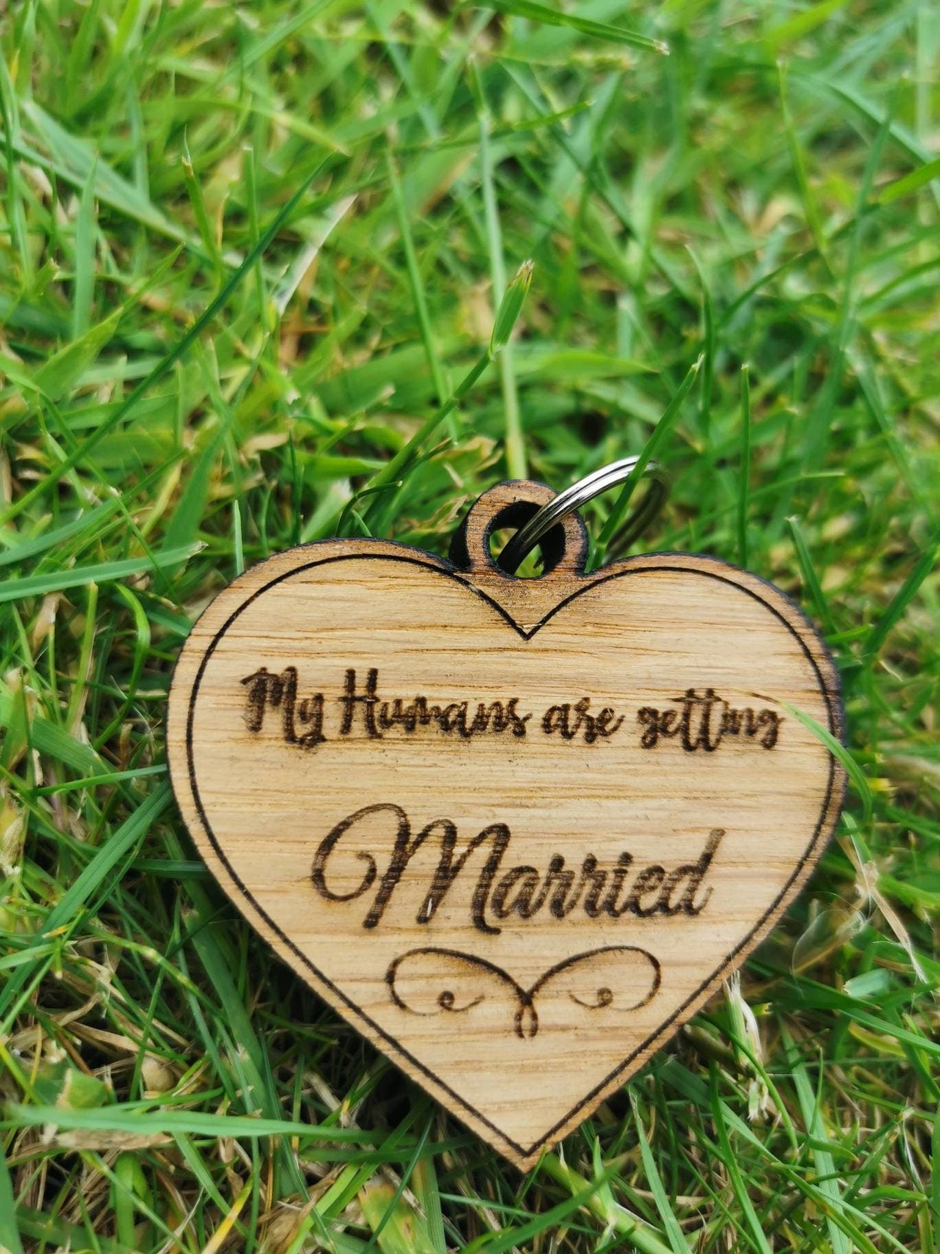 Engagement Announcement for pets